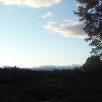 Bryan Cochi的照片