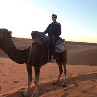 Photos de James Cote