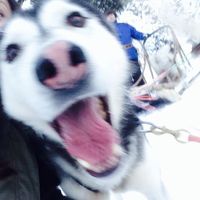 Cécile  Bonnichon's Photo