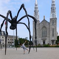 Omar rhafoul的照片