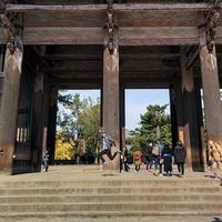 Hilton Leung的照片