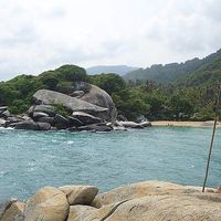 Elba Sánchez Márquez's Photo