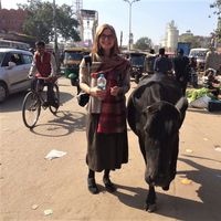 Vera Radokhleb's Photo