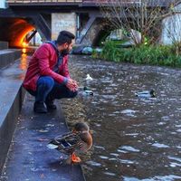 Ashish Bais的照片