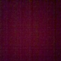 Gabriel Kalapos的照片