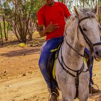 Mohamed Wydad's Photo