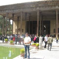 Mohammad Mohsenipoor's Photo