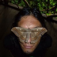 Javier Castillo的照片