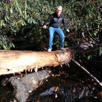 Jonas Hartmann's Photo