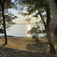 Micha Martins Rosario's Photo