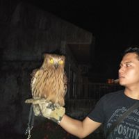 Belvan Anugrah的照片