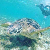 Toni Abigail的照片