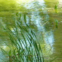 Camille Hel的照片