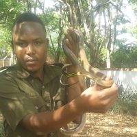 Samwel Jackson的照片