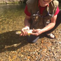 Zachary Davis的照片