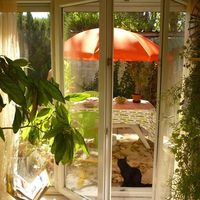 Sophie Cascales's Photo