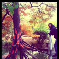 Hichem Hamdad's Photo