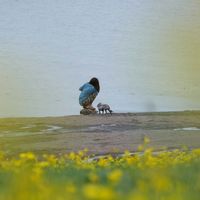 Fotos von Tina Najafi