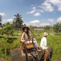 Miruna Belulescu's Photo