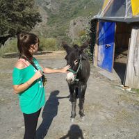 Фотографии пользователя Alba Velasco