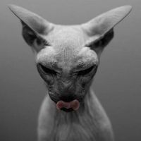 Olga Bisaga的照片