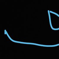 Karthik Ganireddy's Photo