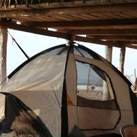 Irene Flores's Photo