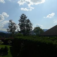 Veronica Lehner's Photo