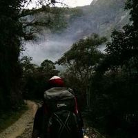 Luis Rodríguez的照片