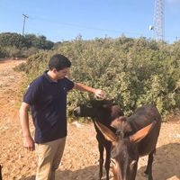 Nicolas Mavreas的照片