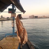 Lucia  Viana的照片