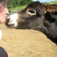 Photos de Claudia Alvoni