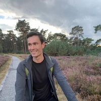 Le foto di Haico van der Werf