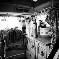 Phoebe  Walters's Photo