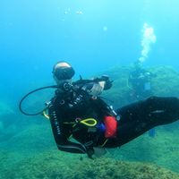 Andrea Borzi的照片