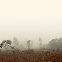 Travelsoul  !'s Photo