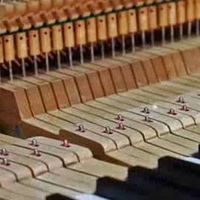 Claudia Tappeser的照片