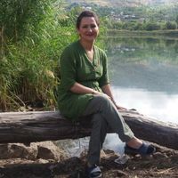 sepideh Oveysifar的照片