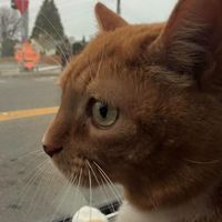 Marin Rachel's Photo