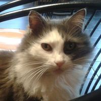 Christine Docquier's Photo