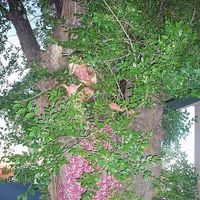 Hillary Solso's Photo