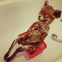 Przemysław Walotek's Photo