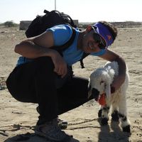 ali mohajeri的照片