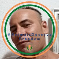 Goran Jović's Photo