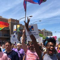 M Whitehead的照片