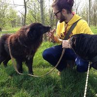 Nicola Guidoboni的照片