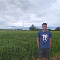 ANDRES GUZMAN的照片