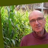 Michael Franke的照片