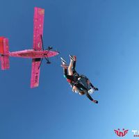 Silviu Reut的照片