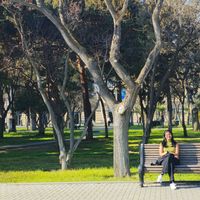 Piyusha Thombre's Photo